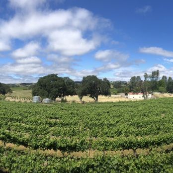 Grapestake Cottage - View from the loft - Vacation Rentals Near Me - Paso Robles, California