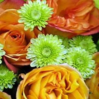 Spruce Flowers - Florists Near Me - New York, New York