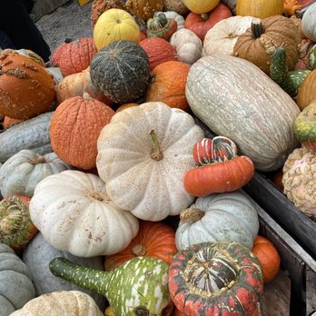 Abma's Farm - Farmers Market Near Me - Wyckoff, New Jersey Abma's Farm - Farmers Market Near Me - Wyckoff, New Jersey