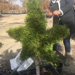 Anne's Garden Center