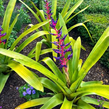 Chicago Botanic Garden - Botanical Gardens Near Me - Glencoe, Illinois
