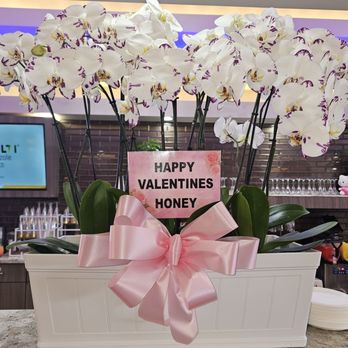 Milano Nail Spa Memorial - Nail Salons Near Me - Houston, Texas