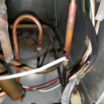 Invitation Homes - Roaches in the back of fridge when I moved in - Property Management Near Me - Bellevue, Washington Invitation Homes - Roaches in the back of fridge when I moved in - Property Management Near Me - Bellevue, Washington