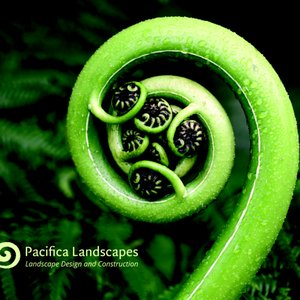 Pacifica Landscapes on Yelp