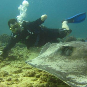 Oahu Diving - Erik put a lot of effort in to make sure we got this picture! - Scuba Diving Near Me - Honolulu, Hawaii Oahu Diving - Erik put a lot of effort in to make sure we got this picture! - Scuba Diving Near Me - Honolulu, Hawaii