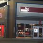 Puma - Halton Hills