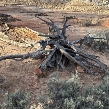 Zion National Park - Hiking Near Me - Springdale, Utah Zion National Park - Hiking Near Me - Springdale, Utah