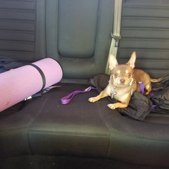 Riverwalk Pet Resort - It's our FIRST DAY at Doggie Day Care! - Pet Groomers Near Me - Riverside, California Riverwalk Pet Resort - It's our FIRST DAY at Doggie Day Care! - Pet Groomers Near Me - Riverside, California