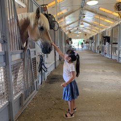 Houston Police Department Mounted Patrol Facility