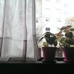 Akelamendi - Grandes ventanas que dan mucha luz al local decoradas de forma acogedora y cercana.