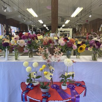 California Mid-State Fair - Flower Exhibits...with some WINNERS! - Festivals Near Me - Paso Robles, California