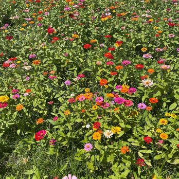 Hunsader Farms - Farms Near Me - Bradenton, Florida