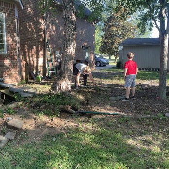 GT Tree Company - Before pic - Tree Services Near Me GT Tree Company - Before pic - Tree Services Near Me