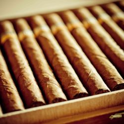 House Of Tobacco