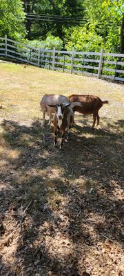 The Book Barn by null