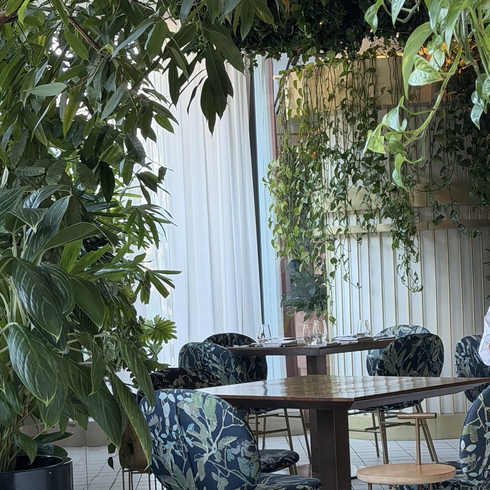 Botanist - Dining room - Canadian (New) Near Me - Vancouver, British Columbia Botanist - Dining room - Canadian (New) Near Me - Vancouver, British Columbia