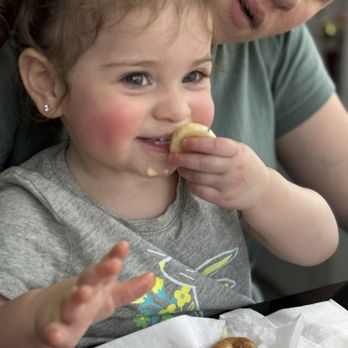 Dream Donuts - Hazel enjoying a strawberry banana donut - Coffee & Tea Near Me - Warwick, New York