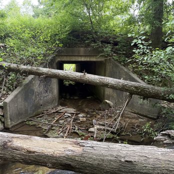 Wildcat Branch Falls - Hiking Near Me - Cleveland, South Carolina