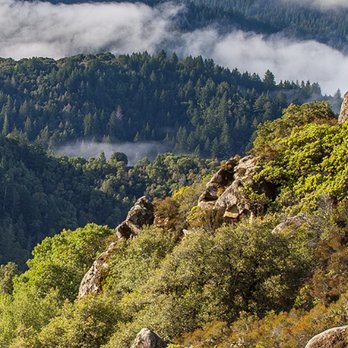 Castle Rock State Park - Parks Near Me - Los Gatos, California Castle Rock State Park - Parks Near Me - Los Gatos, California