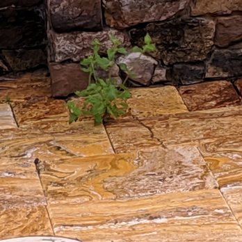 Pro-Green Landscaping - Pro-Green Landscaping by Brandon - Landscaping Near Me Pro-Green Landscaping - Pro-Green Landscaping by Brandon - Landscaping Near Me