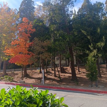 Big Bear Getaway - Vacation Rentals Near Me - Big Bear City, California