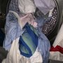 Photo of Tiger Cleaners