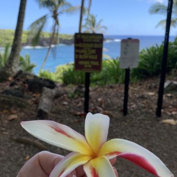 Dynamic Tour Maui - Black Sand Beach - Bus Tours Near Me - Wailuku, Hawaii