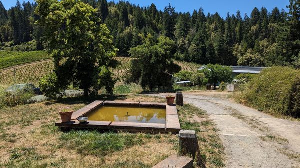 Porter-Bass Winery by null