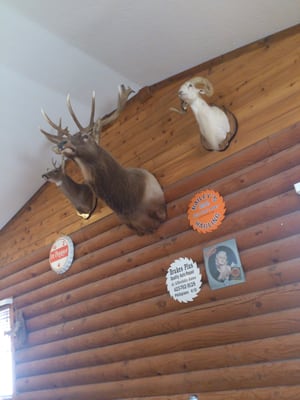 Wanda's Restaurant by null