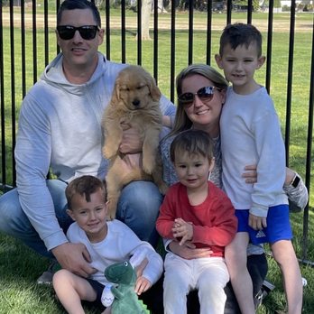Golden Retriever Buddies - Pet Adoption Near Me Golden Retriever Buddies - Pet Adoption Near Me
