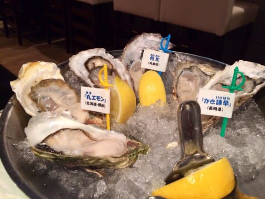 Jakkupottoshinjuku 12 Photos Bars 新宿3丁目12 2 新宿三丁目駅 新宿区 東京都 Japan Restaurant Reviews Phone Number