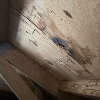 Clyde Johnson Contracting & Roofing - rotten ply wood that was never replaced, oversized screws' that split the ply wood instead of fasten it , & bent hurricane clips - General Contractors Near Me - Clewiston, Florida Clyde Johnson Contracting & Roofing - rotten ply wood that was never replaced, oversized screws' that split the ply wood instead of fasten it , & bent hurricane clips - General Contractors Near Me - Clewiston, Florida