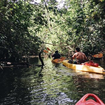 Ali'i Kayaks - Tours Near Me - Kapaa, Hawaii Ali'i Kayaks - Tours Near Me - Kapaa, Hawaii