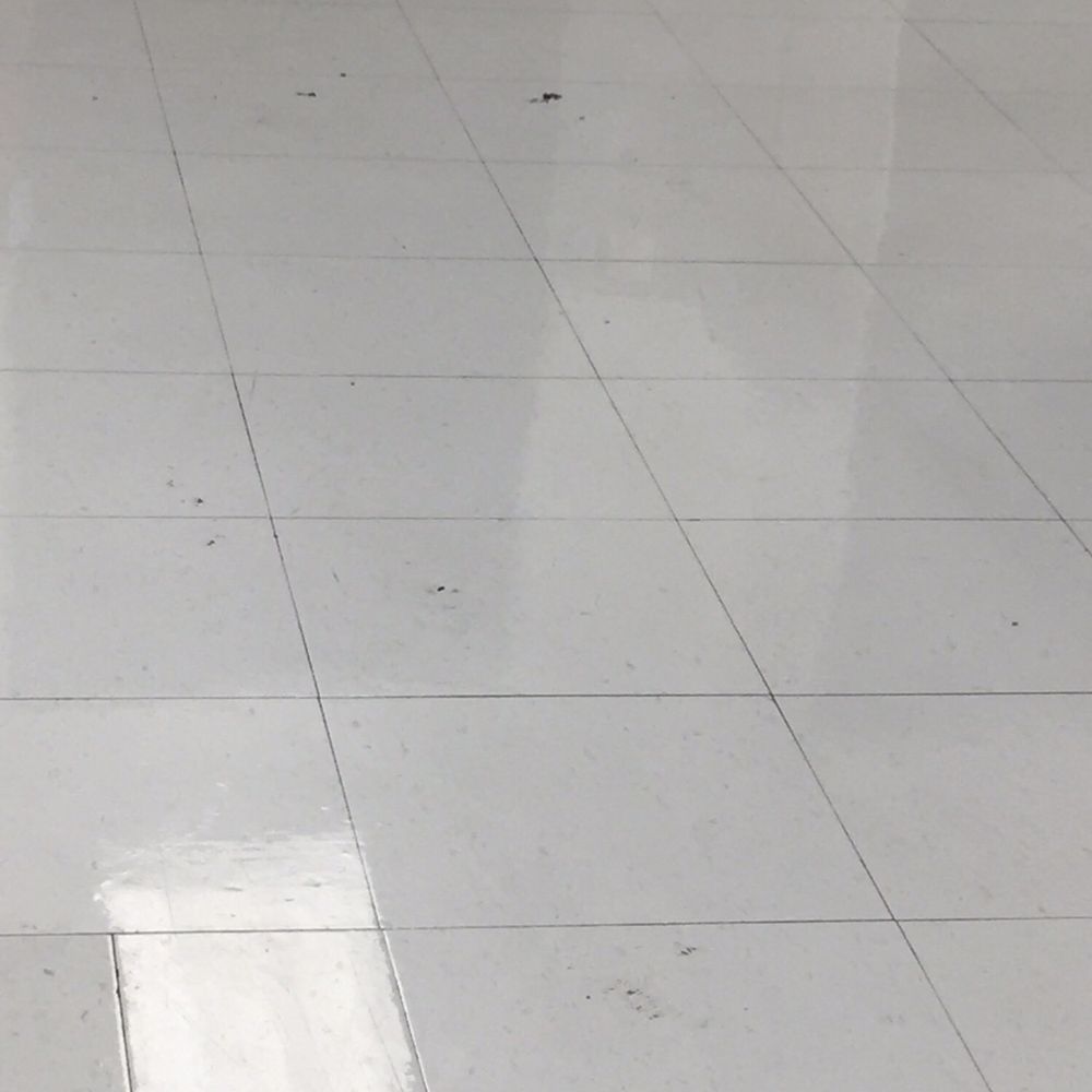 Schnucks Urbana - Filthy floors should have someone cleaning always. - Grocery Near Me - Urbana, Illinois Schnucks Urbana - Filthy floors should have someone cleaning always. - Grocery Near Me - Urbana, Illinois