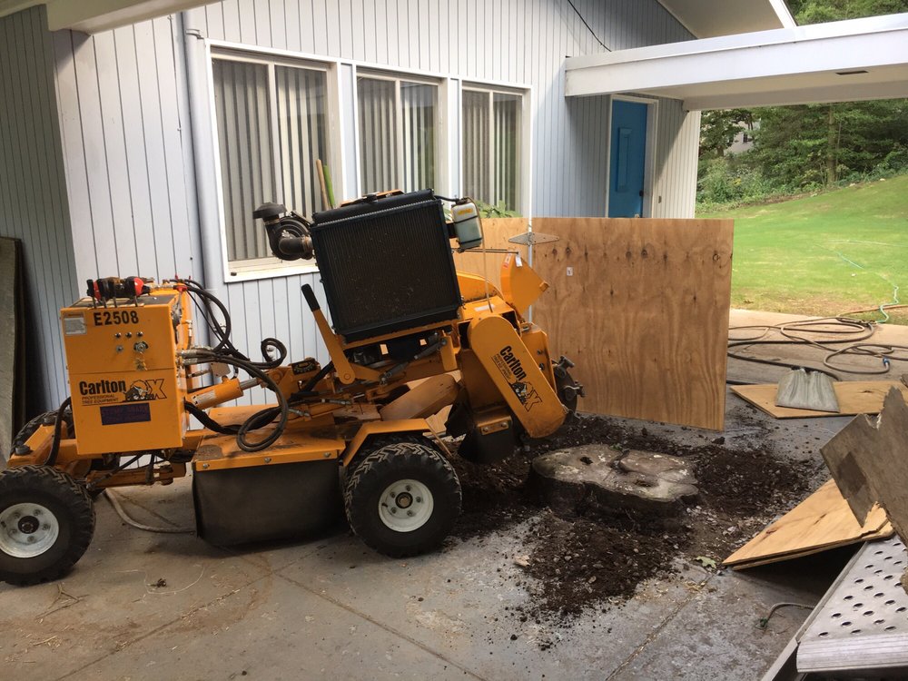 Stump Shark Stump Grinding - tree service in Milford, CT