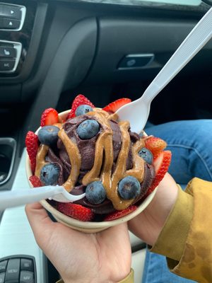 Tropical Berry Kenmore by null