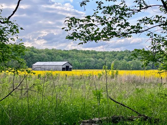 Backroads by null