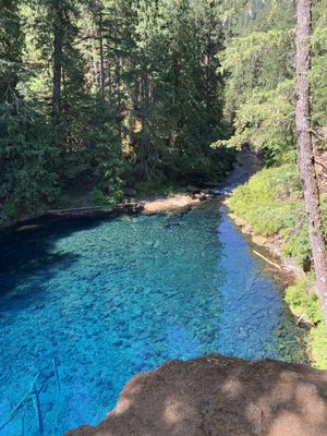 Tamolitch Falls (Blue Pool) by null