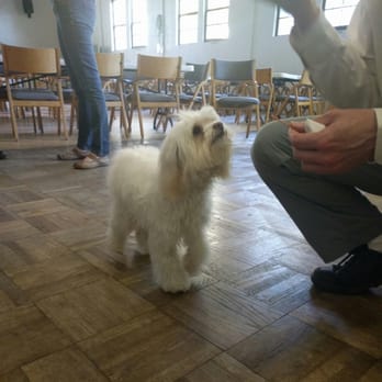 Grace North Church - Furry friends welcome! This was taken during coffee hour. - Churches Near Me - Berkeley, California Grace North Church - Furry friends welcome! This was taken during coffee hour. - Churches Near Me - Berkeley, California