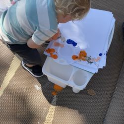 Wild Things Outdoor Learning - Practicing independence
