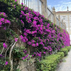 Jardim Botânico da Universidade de Coimbra