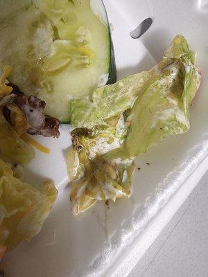 Leo's Coney Island Dearborn by null
