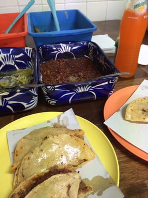 Tacos Joven - Tacos en Canasta by null