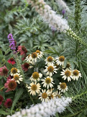 The Ewing and Muriel Kauffman Memorial Garden by null