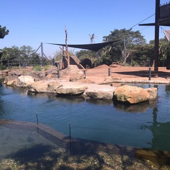 Taronga Zoo - Zoos Near Me - Mosman, NSW Taronga Zoo - Zoos Near Me - Mosman, NSW