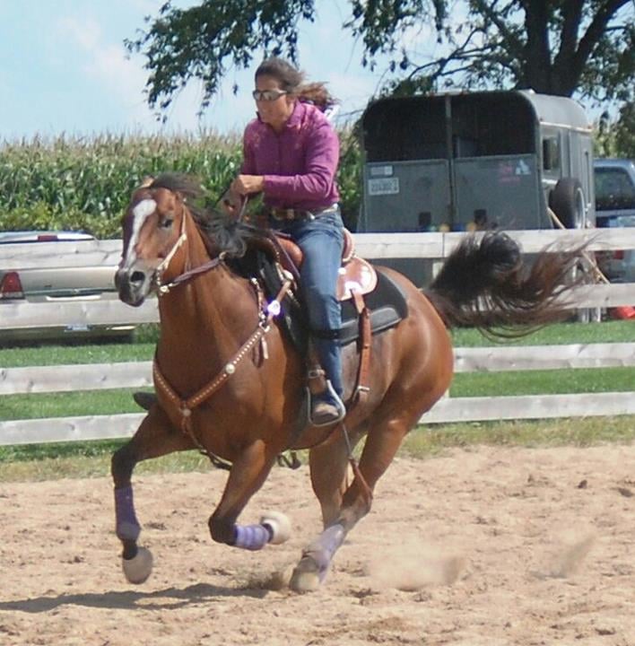 Cripple Creek Ranch - equestrian in Harvard, IL