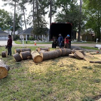 Newland Tree Service - One of the 3 trees removed! - Gutter Services Near Me Newland Tree Service - One of the 3 trees removed! - Gutter Services Near Me