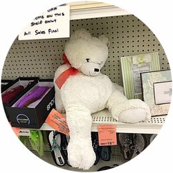 Fox Drug Of Torrance - Poor little bear looks tired.