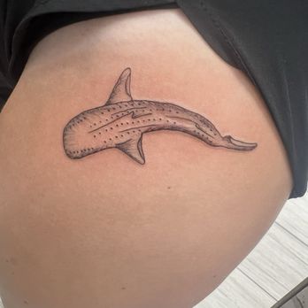 Mango Beach Tattoo and Piercing - Whale shark - Piercing Near Me - Panama City Beach, Florida