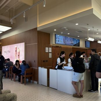 Molly Tea - Bubble Tea Near Me - Cupertino, California Molly Tea - Bubble Tea Near Me - Cupertino, California